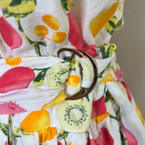 Cynthia Rowley Fruit Print Linen Blend Sleeveless Shirt Dress Belted Size 6 - Picture 4 of 13